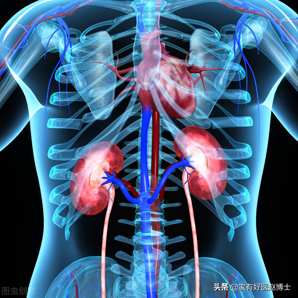 哪种降糖药效果好不损伤肾,护心护肾的两种降糖药