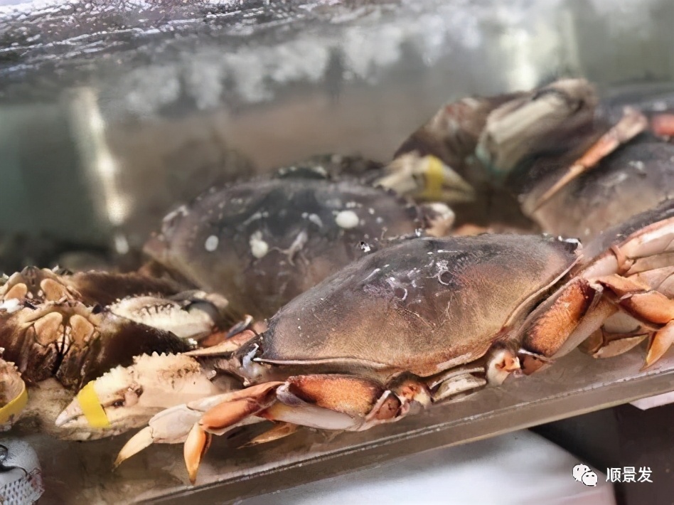 海鲜陆冻和船冻,冷冻海鲜进口知识大全