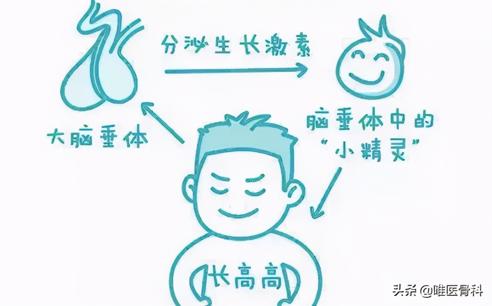 矮小症怎么锻炼才能增高,儿童矮小做什么运动可以长高