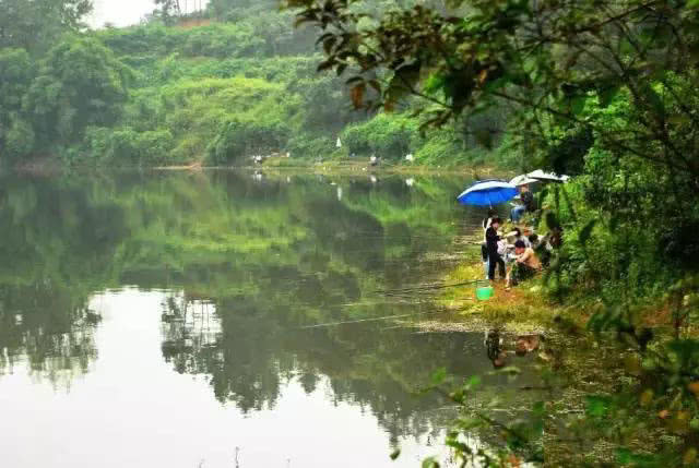 深圳宝安钓鱼免费的地方,现在哪些地方可以免费钓鱼