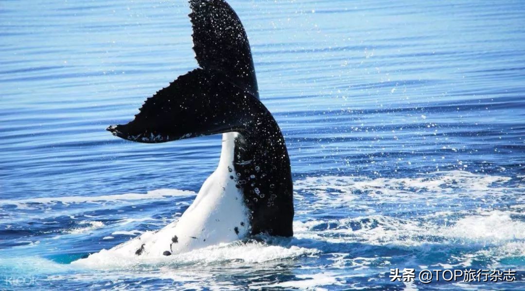 从哪里直飞尼泊尔,长沙飞尼泊尔攻略