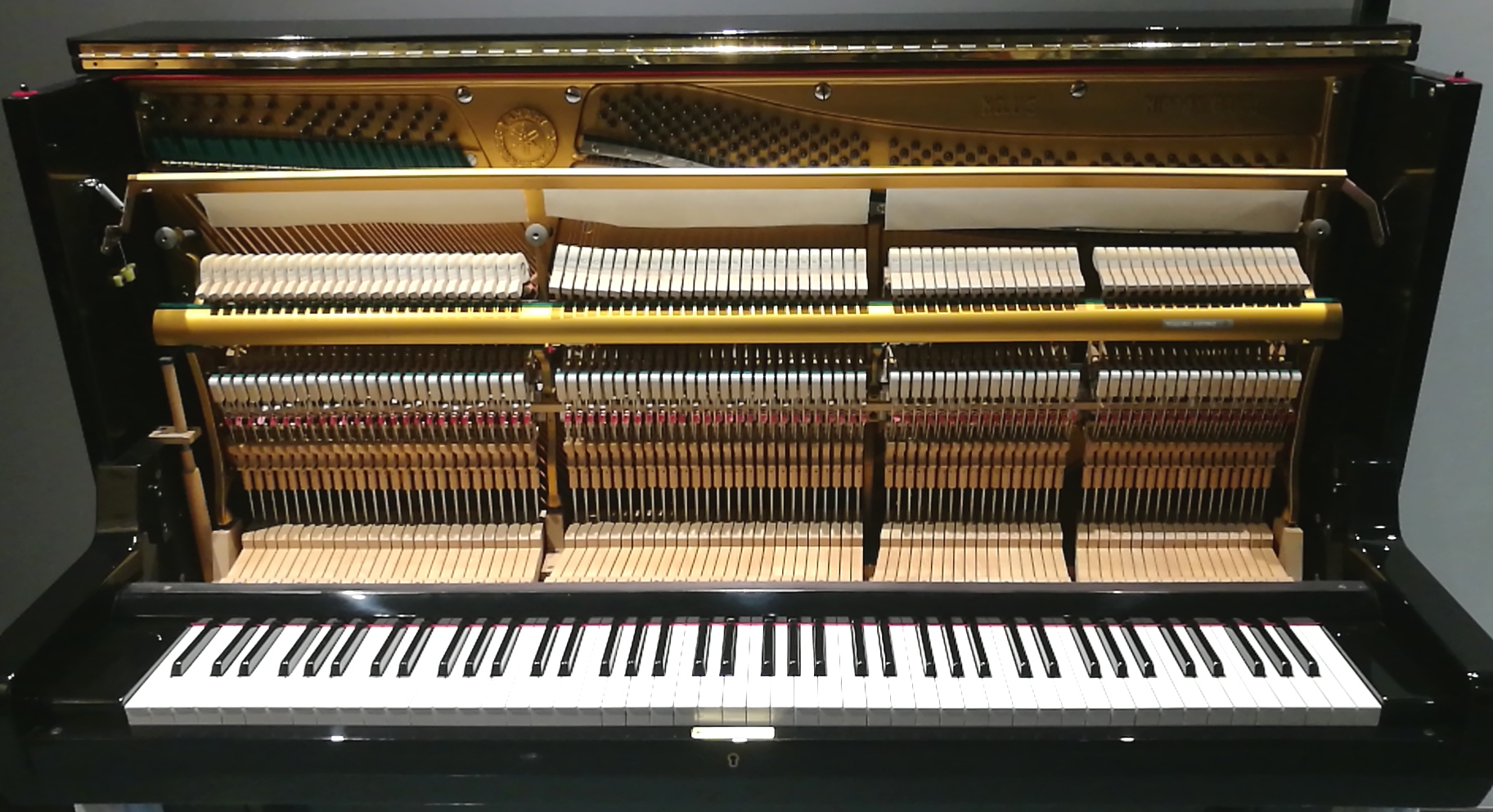 钢琴和电钢琴琴键的区别,钢琴和电钢琴电子琴的区别