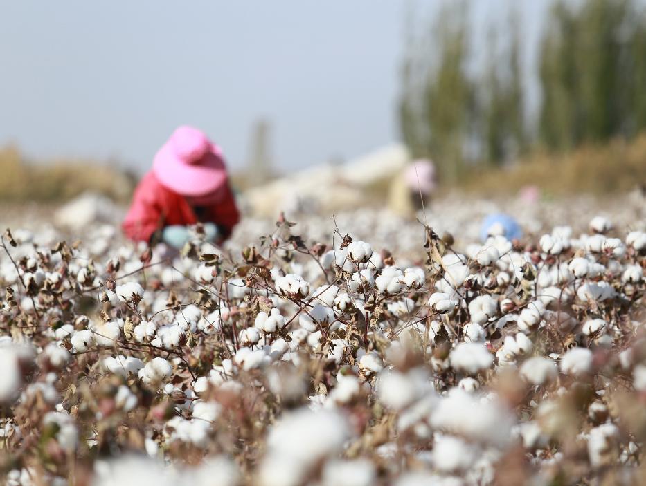 *疆新**这一项目值得期待!中泰石化“聚酯一期建设稳步进行中