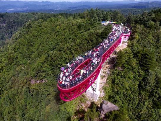 2020重庆马拉松比赛现场直播,重庆千野草场音乐节