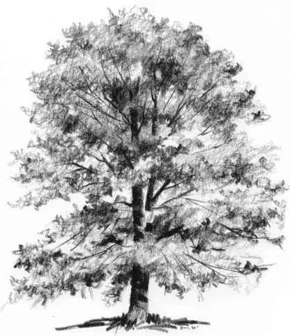 这些绝美的摄影每一张都值得珍藏,40张经典素描风景图快来临摹吧