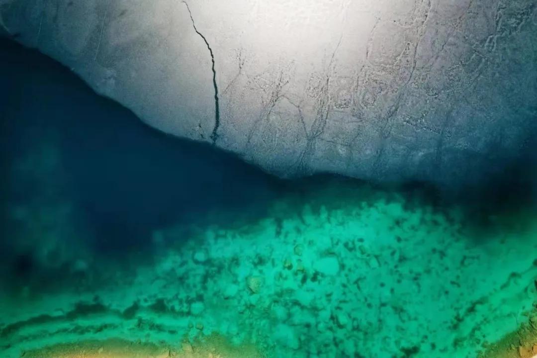 趁春意来赏油菜花海,趁春光去野游