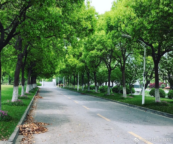 会计王牌专业的专科学校,会计专硕王牌学校