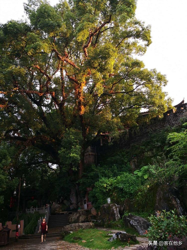 长汀县古街印象土特产,长汀古城异域风情