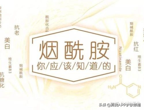 olay烟酰胺身体乳真的美白吗,olay身体乳烟酰胺美白