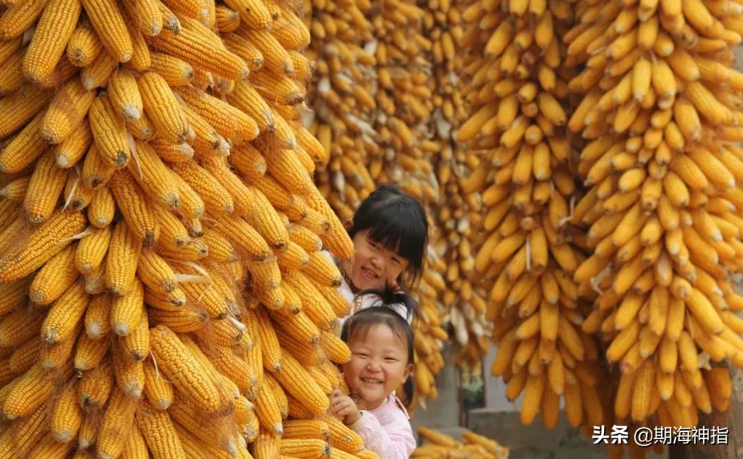 期货交易中的真实事件,期货市场十大血腥事件