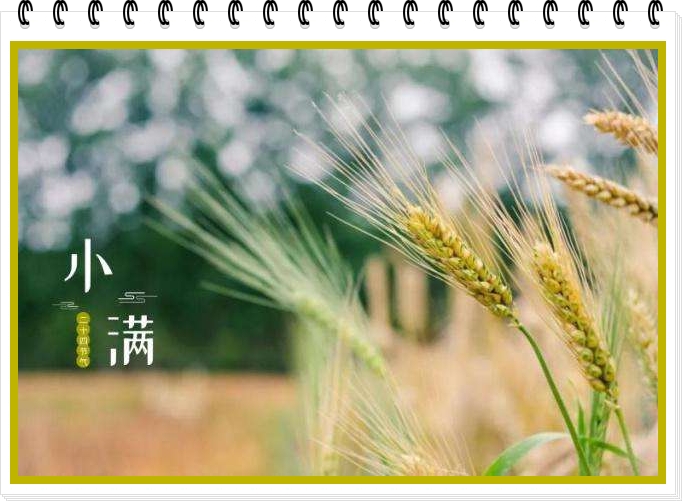 历史上的这天,历史上的今天是什么天