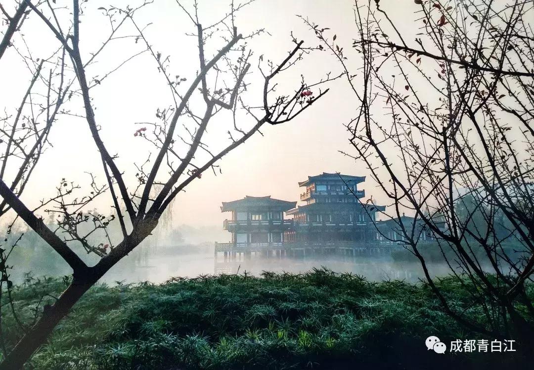 宜居新成都,住在青白江!这里的安逸超乎你想象