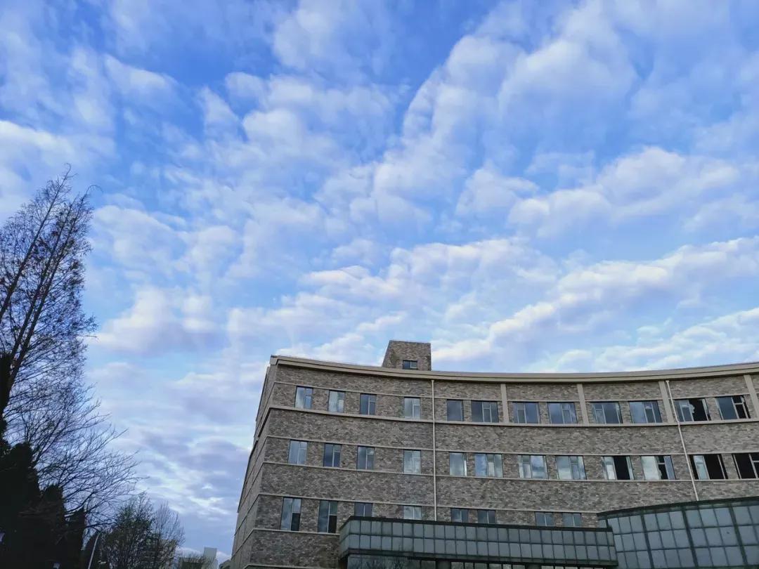 辽宁省民办大学（二）大连东软信息学院