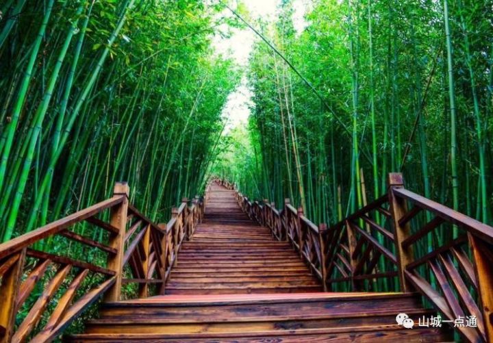 重庆梁平有哪些好玩儿的地方,重庆梁平有什么好玩的地方