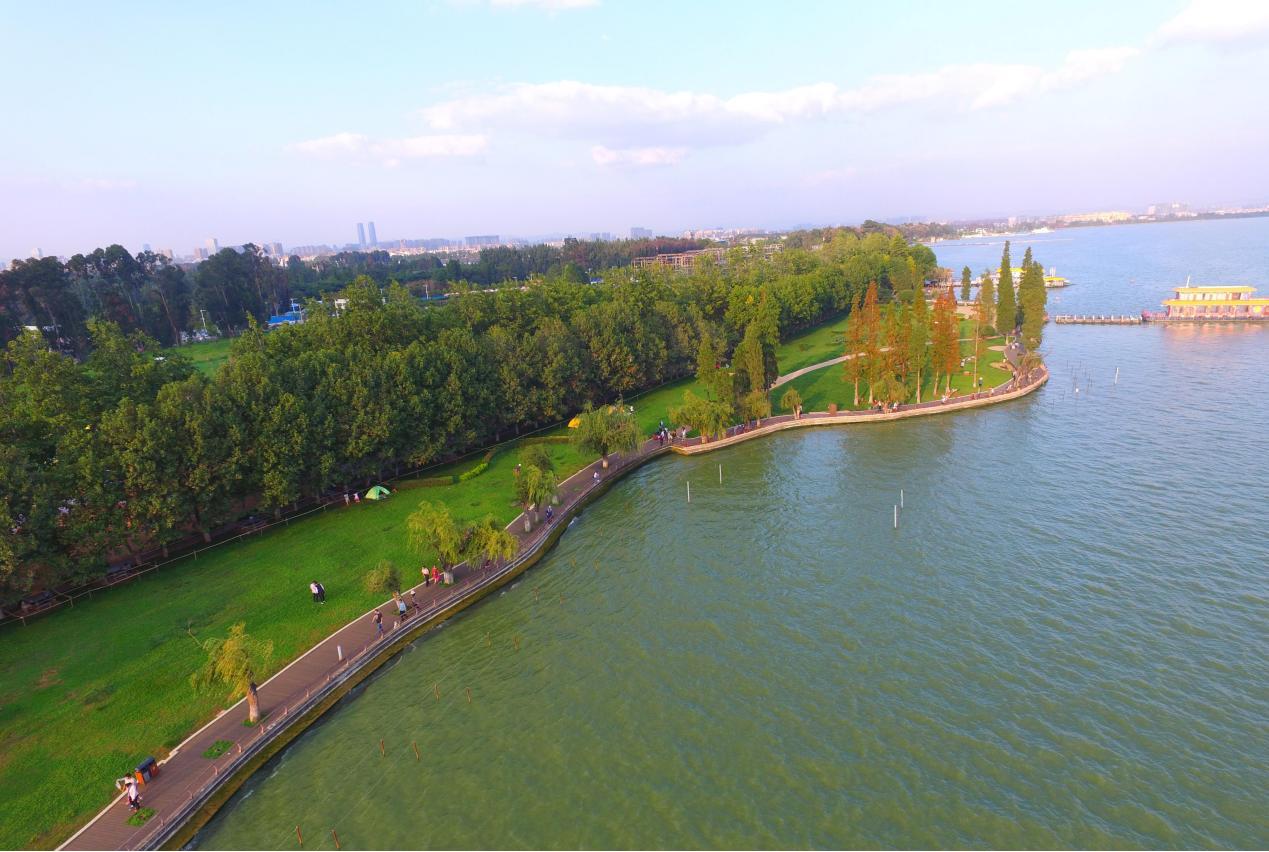 水葫芦生物入侵怎么治理,水葫芦的泛滥是怎样处理的