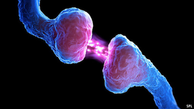 海拉细胞其他人可以有吗,有没有和海拉细胞一样的细胞