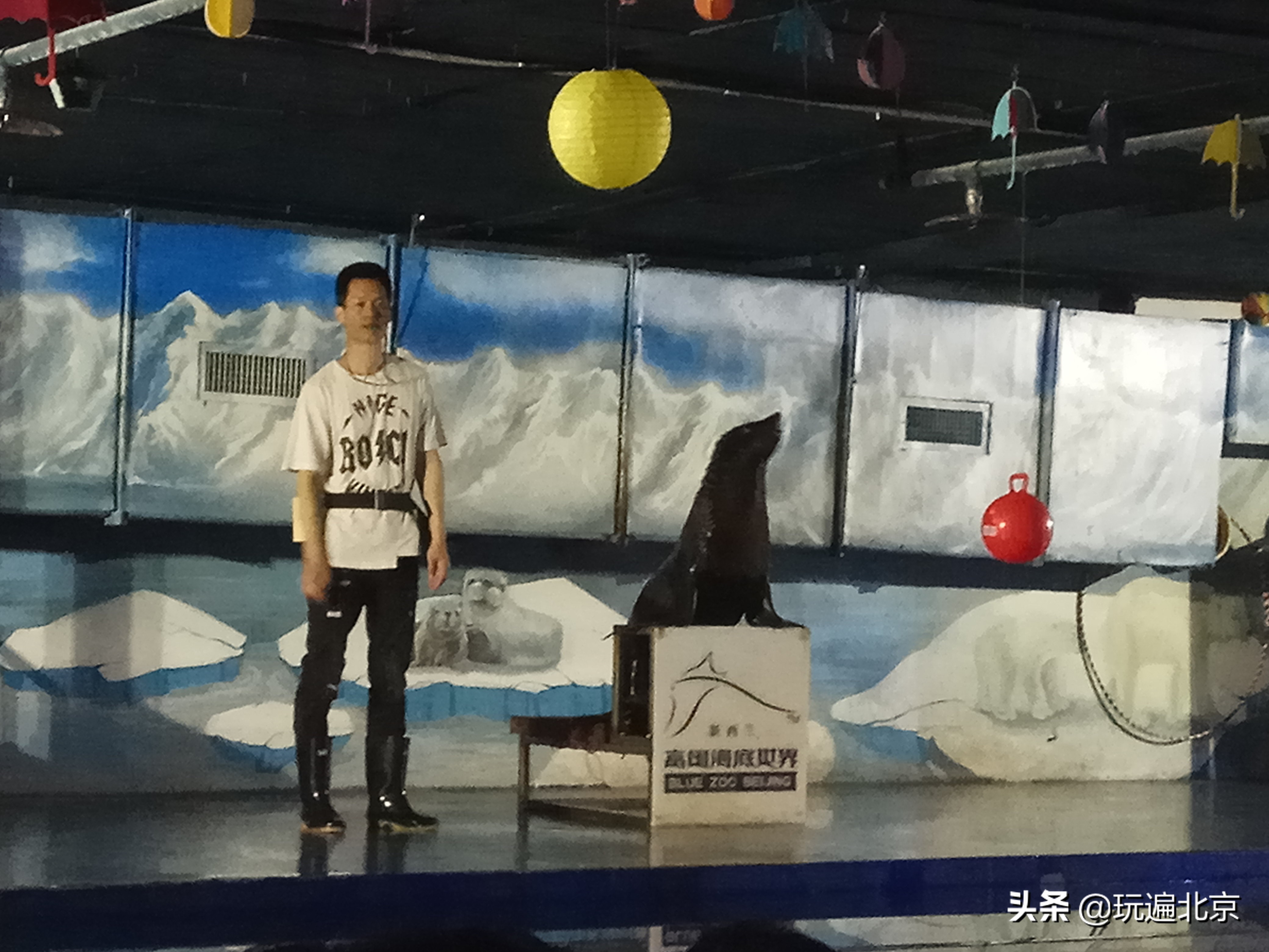 富国海底世界,海底世界的深海奥秘