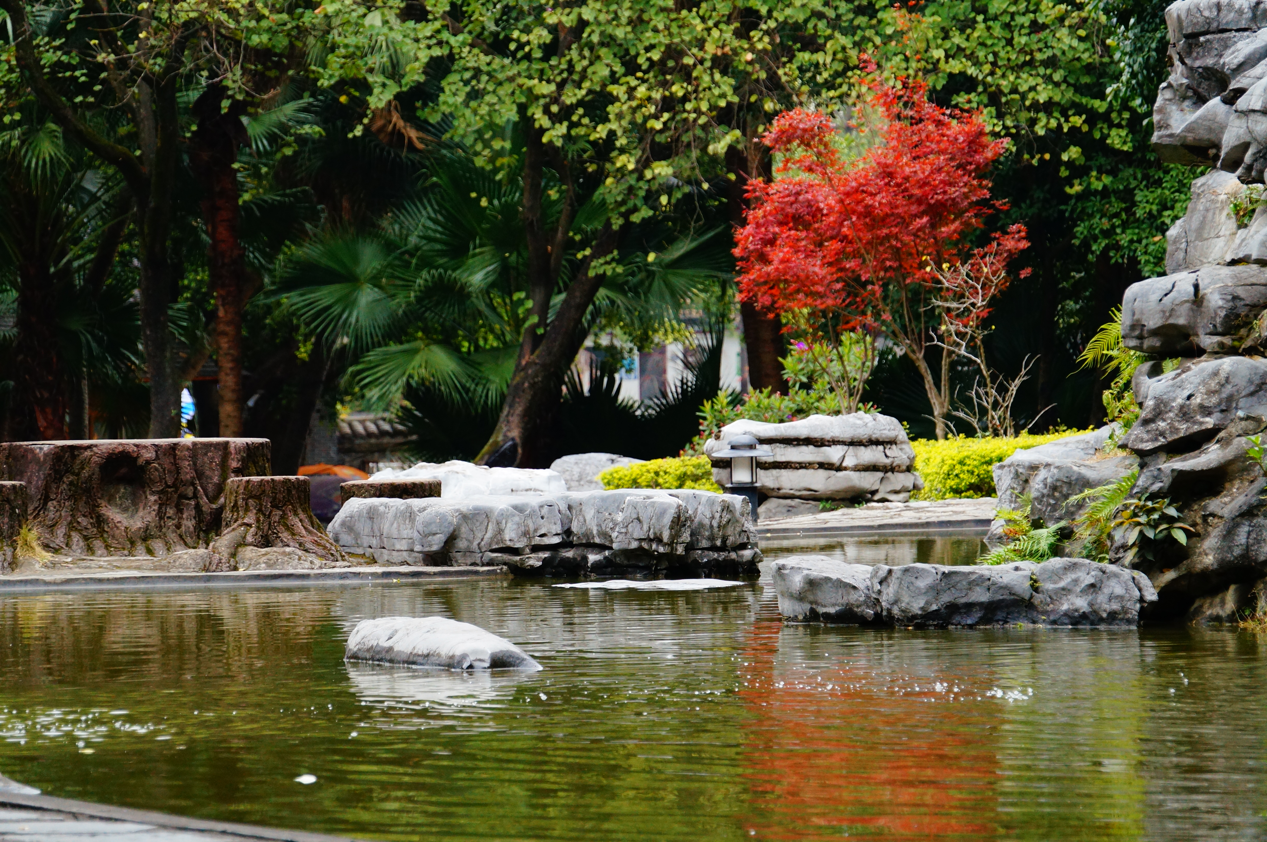 柳州的柳侯公园景色,柳州的秋天美景