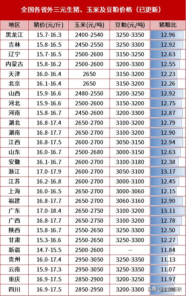 养猪比盖楼挣钱,养猪赚钱3000块钱养一头猪