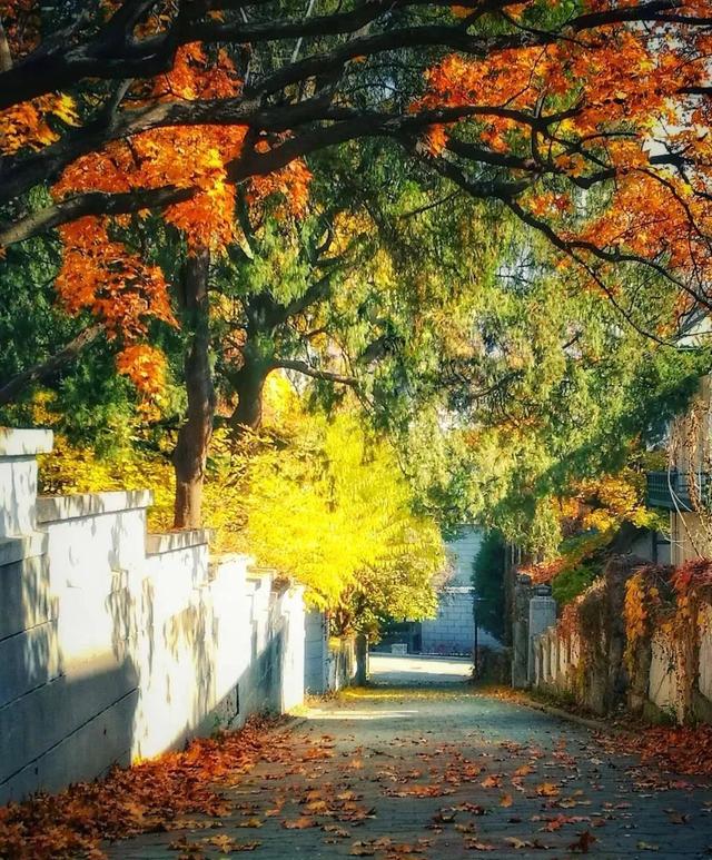辽宁有美丽的小镇,辽宁有个小城市