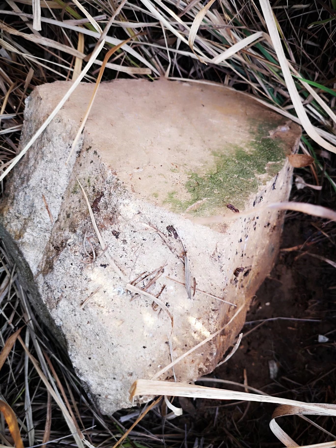摩托周边旮旯游——探访蚌埠李楼鲁山寺遗址（上）