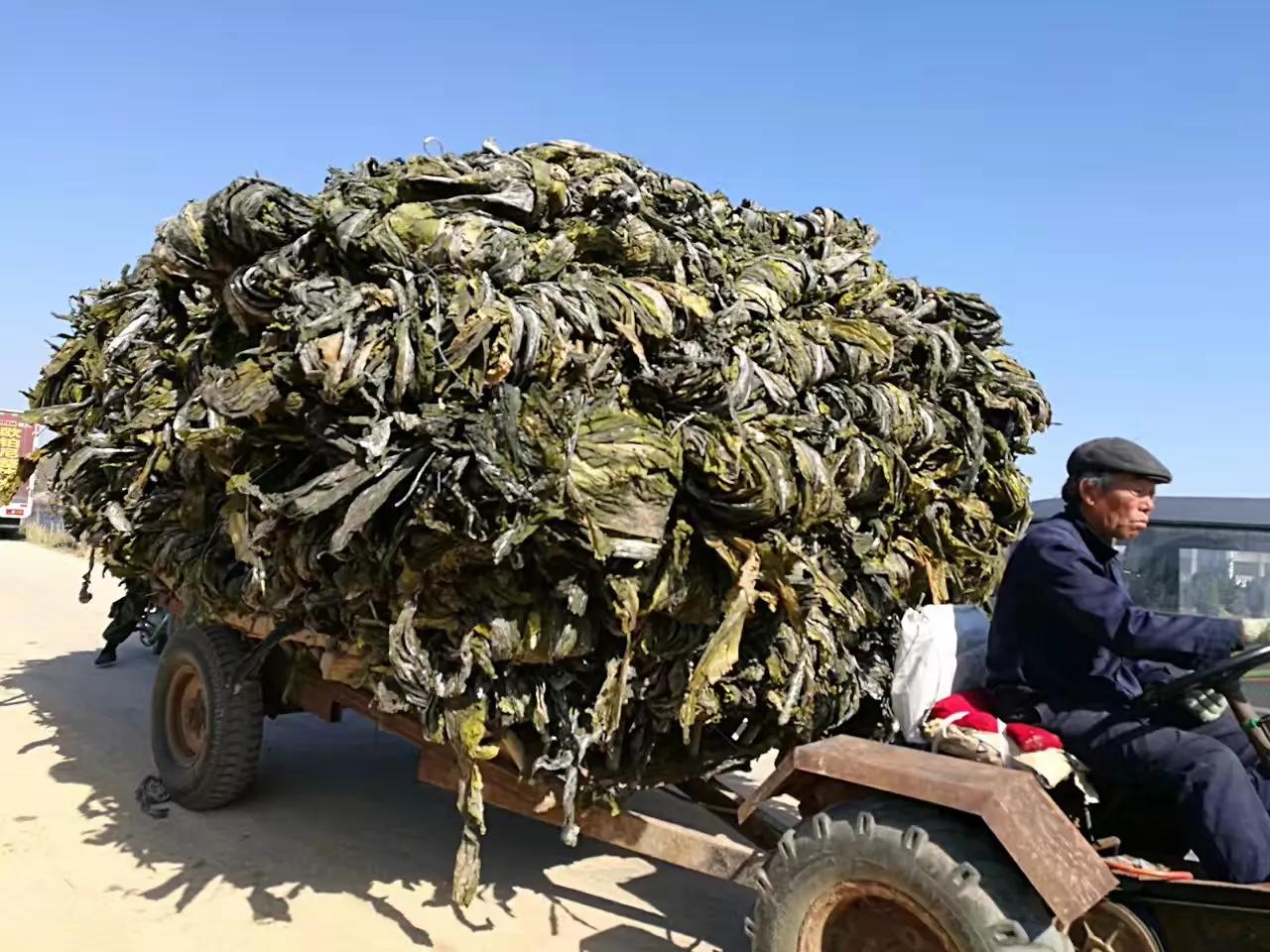 山东荣成定居好不好,外地人荣成落户条件
