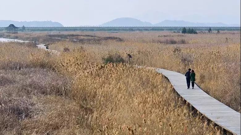 比厦门安静的海滨城市,比厦门安静10倍