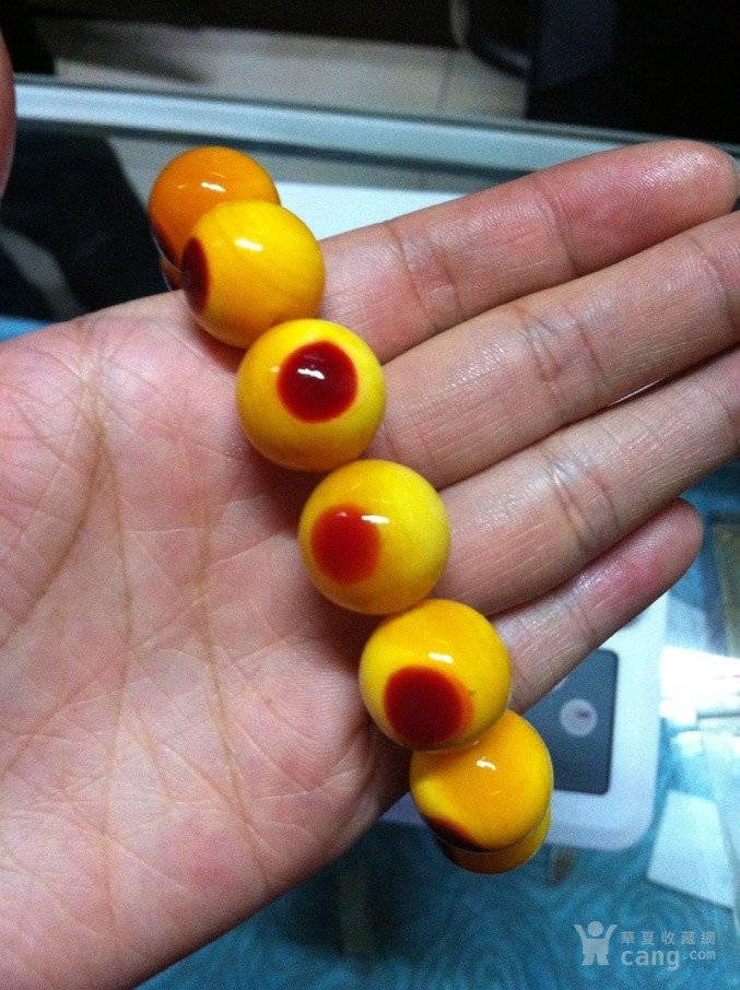 文玩流行的动物制品 (十种野生文玩)