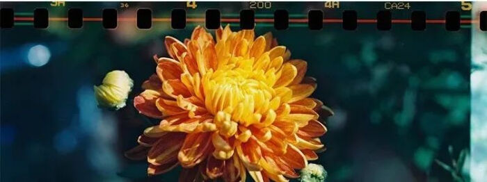 高性价比相机推荐1000左右微单,高性价比微单相机推荐3k