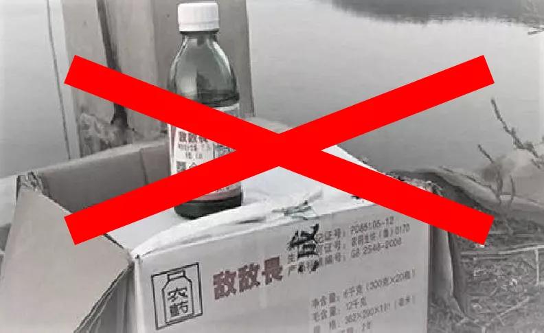 提高海参免疫力用什么产品,海参提高免疫力最快的方法