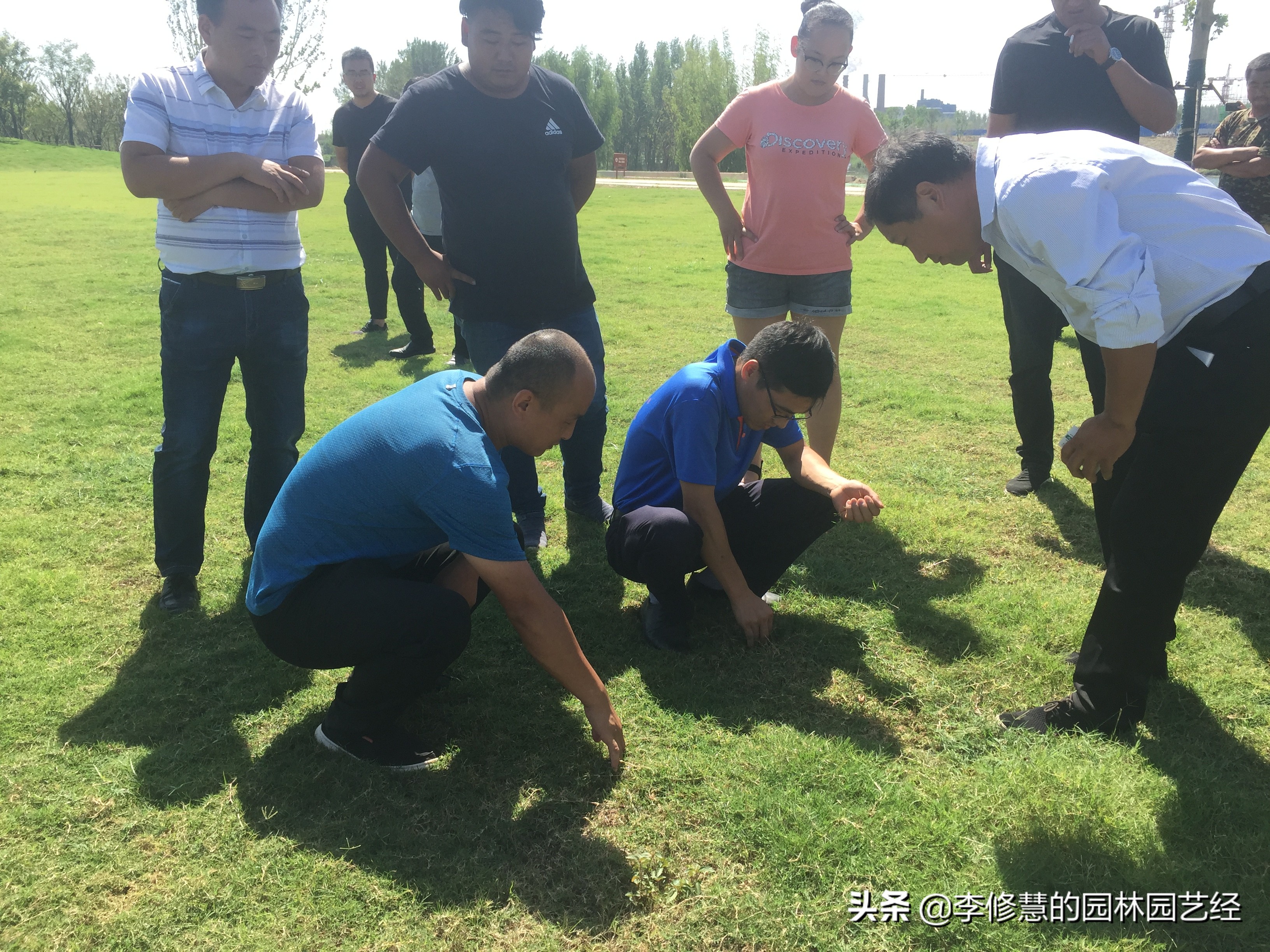 草坪怎么做防虫,草坪怎么施工不长杂草