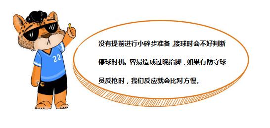 阿豹教学视频完整版,阿豹小课堂