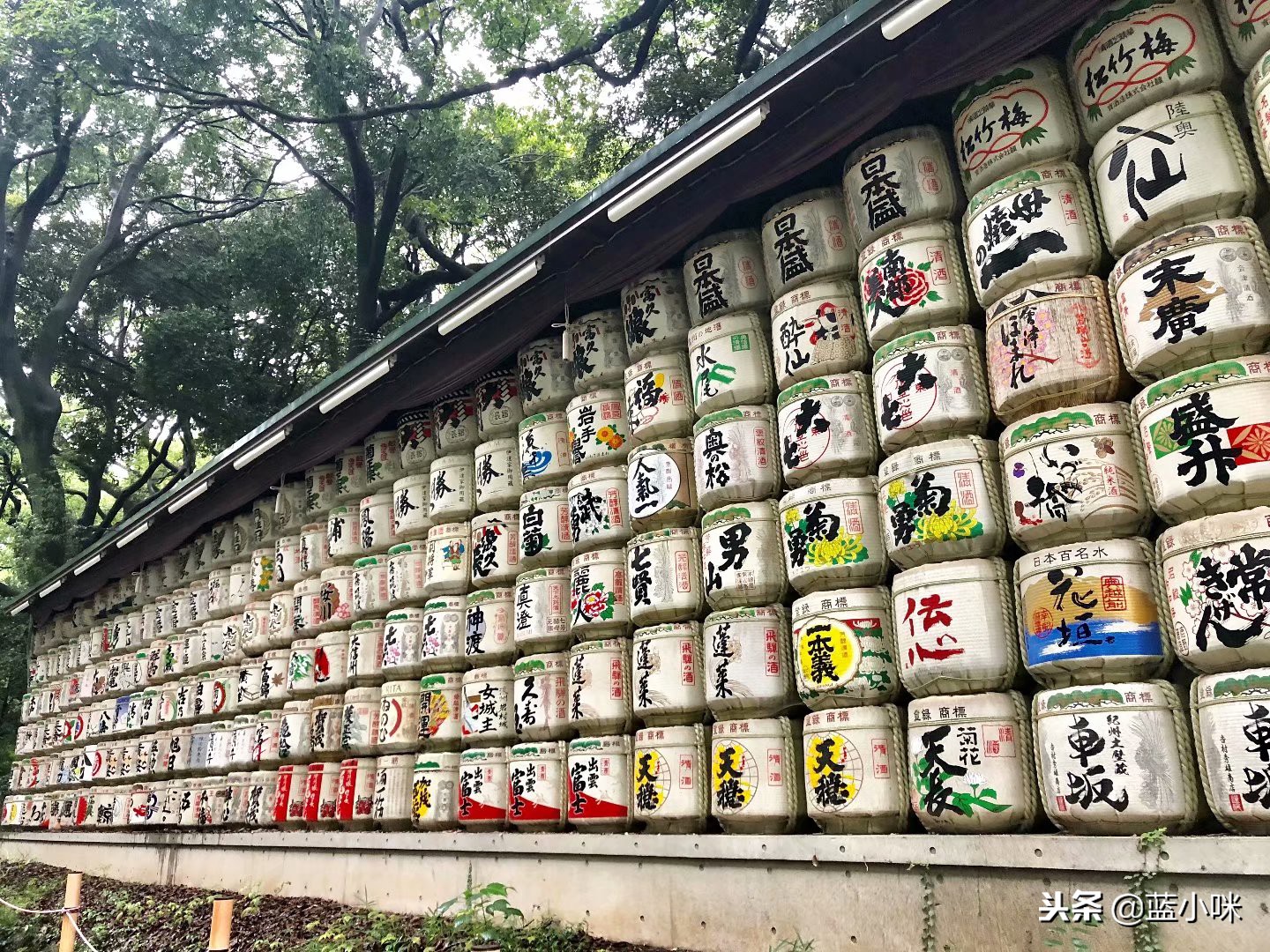 东京富士山镰仓一日游,东京旅游攻略镰仓一日游