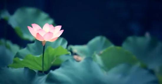 三伏天即将来袭冬病夏治正当时,今日入伏专家提醒伏天更要防寒