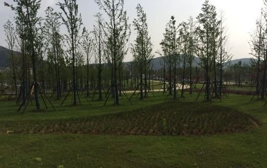 南京免费的公园,太全了全国旅游简图