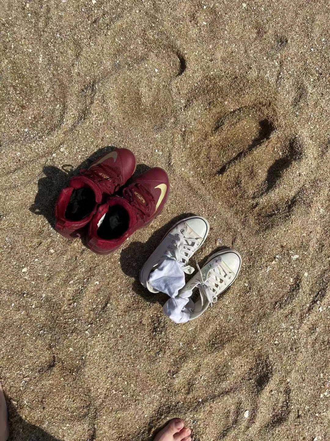 厦门香格里拉酒店附近攻略,厦门香格里拉酒店儿童乐园