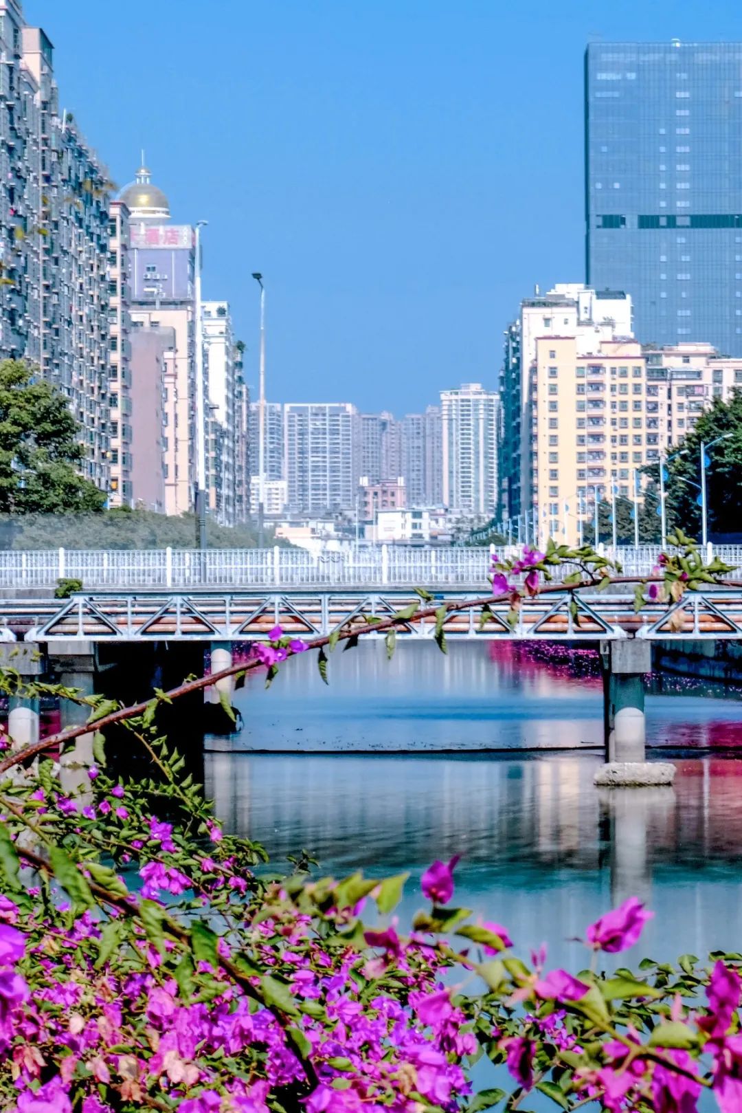 西乡好去处,深圳一个来了就不想走的地方