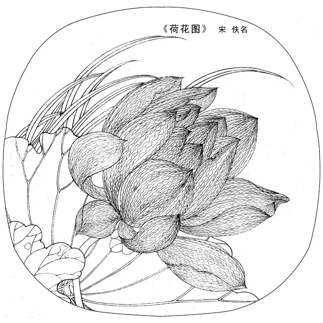 宋人工笔白描,宋人小品花鸟工笔白描高清图