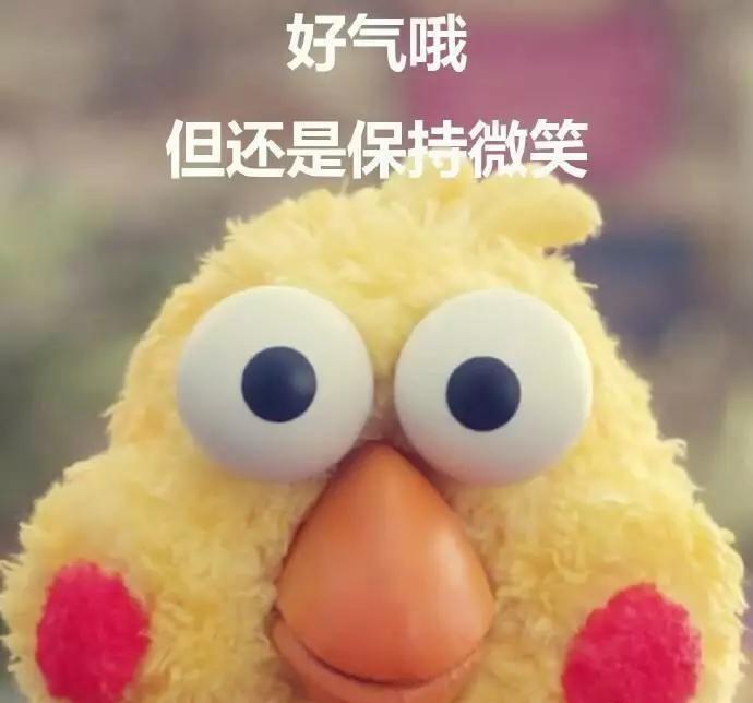 韩寒现在怎样了,沈腾韩寒没人接机完整版