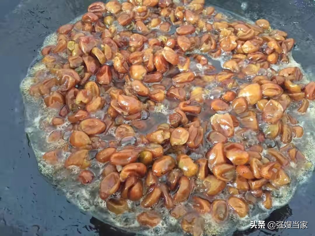 腌黄皮好吃吗,腌盐黄皮