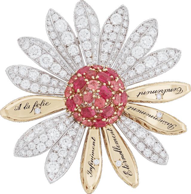 机关重重的珠宝里，除了爱情，还有毒药和刺杀