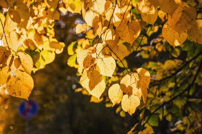 波兰记游记,波兰旅游攻略游记