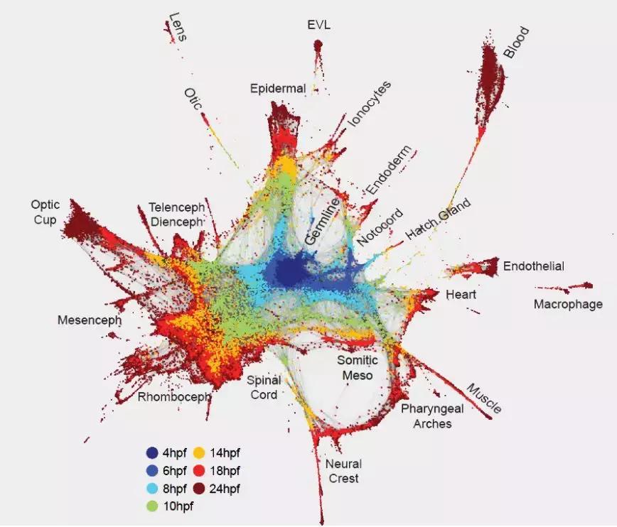 science十大科学突破,science2017全球十大科学突破