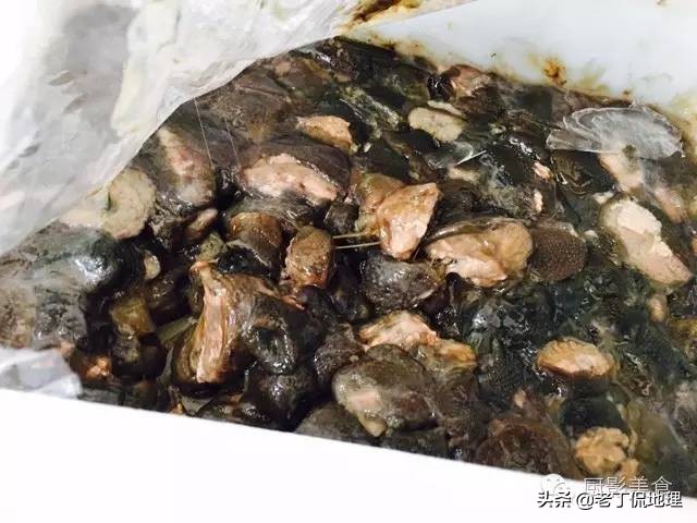 中国海鲜地图,中国海鲜最多地区