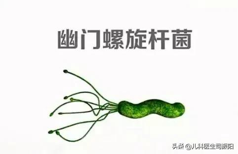 儿童幽门螺旋杆菌会传染给大人吗,儿童幽门螺旋杆菌吃益生菌管用吗