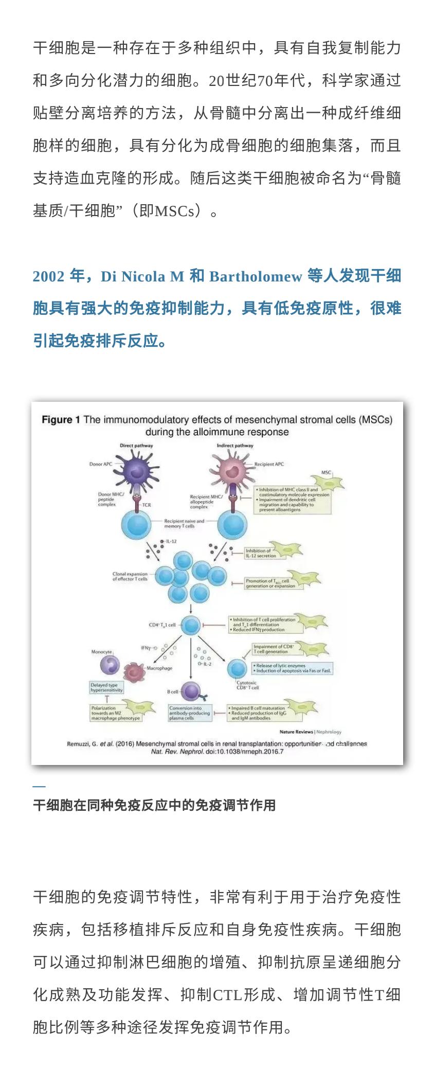 干细胞移植肾细胞再生疗法,干细胞肾脏移植最新进展