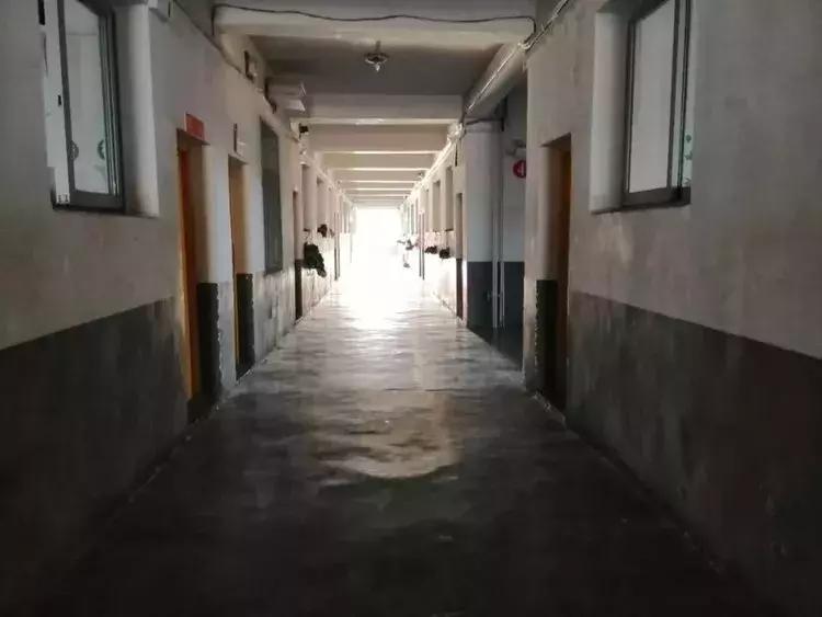 抑郁症大学生为测胆量杀害滴滴司机被批捕：自觉生活平淡