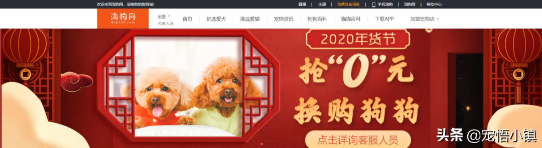 比较出名的宠物网站排名大全,国内外知名宠物品牌排行表