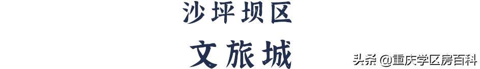 沙小、树人、七中！来看沙坪坝如何布局教育资源