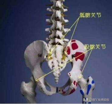 躺下腰痛时骶髂关节痛怎么处理,腰痛屁股痛脚痛是不是肾虚引起的